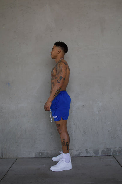 REBELETICS " RBLTCS " MESH SHORTS - BLUE