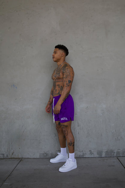 REBELETICS " RBLTCS " MESH SHORTS - PURPLE
