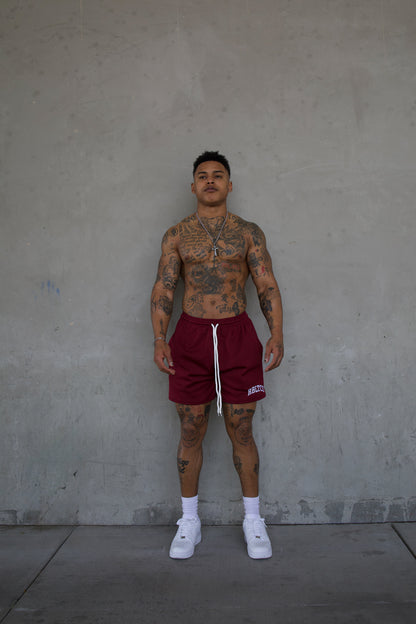 REBELETICS " RBLTCS " MESH SHORTS - BURGUNDY