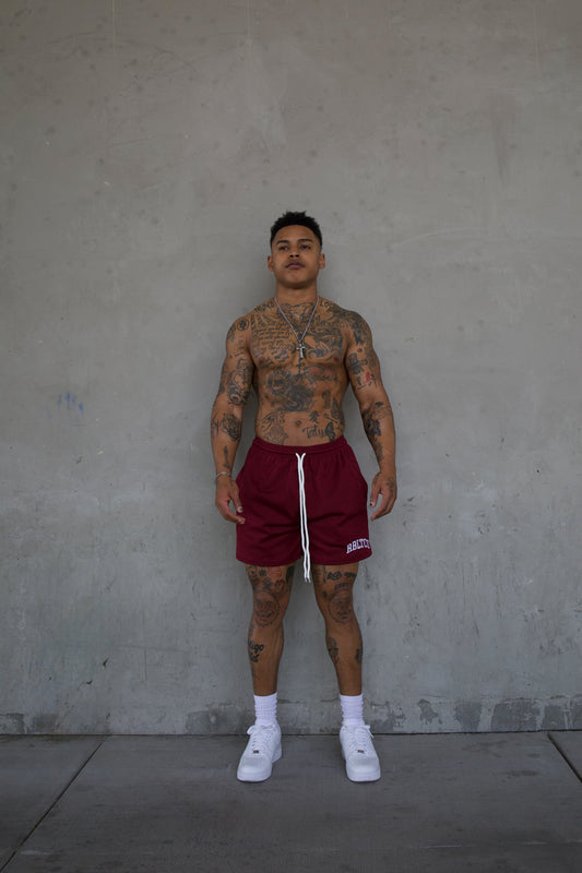REBELETICS " RBLTCS " MESH SHORTS - BURGUNDY