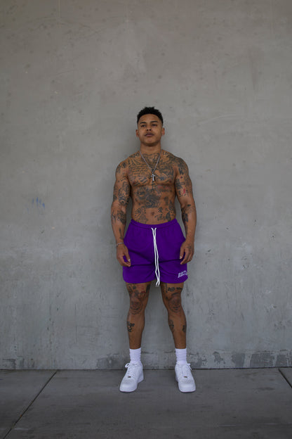 REBELETICS " RBLTCS " MESH SHORTS - PURPLE