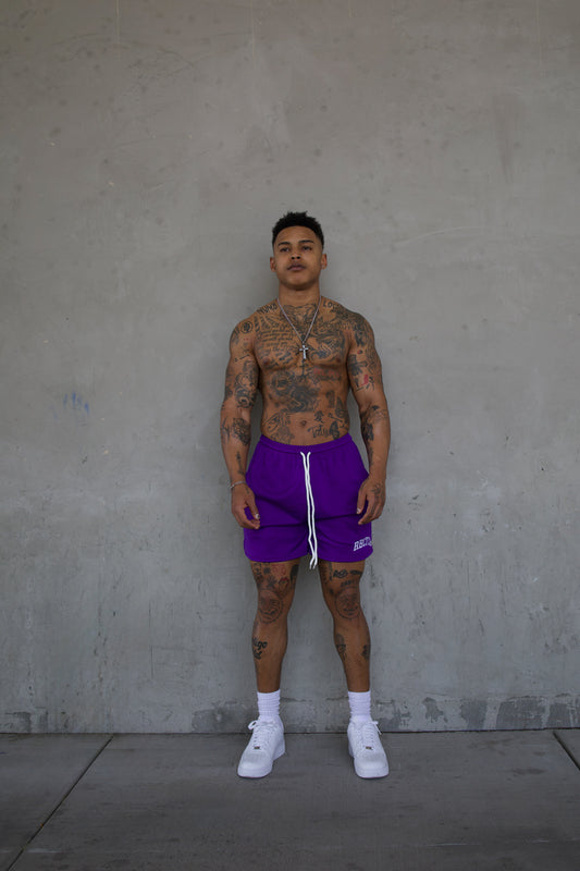 REBELETICS " RBLTCS " MESH SHORTS - PURPLE