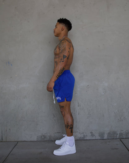 REBELETICS "RBLTCS" MESH SHORTS - BLUE